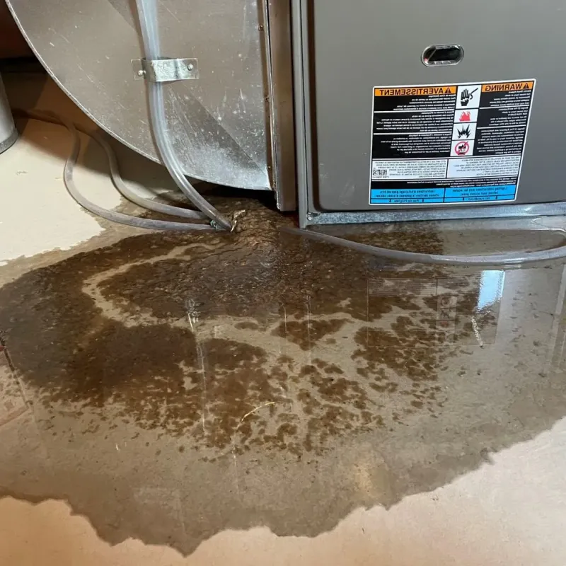 Pipe Burst and Leak Restoration in Lynnfield, MA